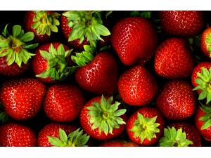 How to make Syrups and Cordials