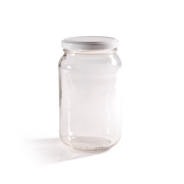 550ml Panel Food Jar with Twist Off Lids