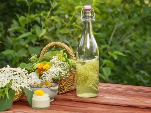 Elderflower Cordial