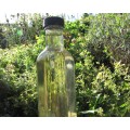 Oils & Dressings Bottles