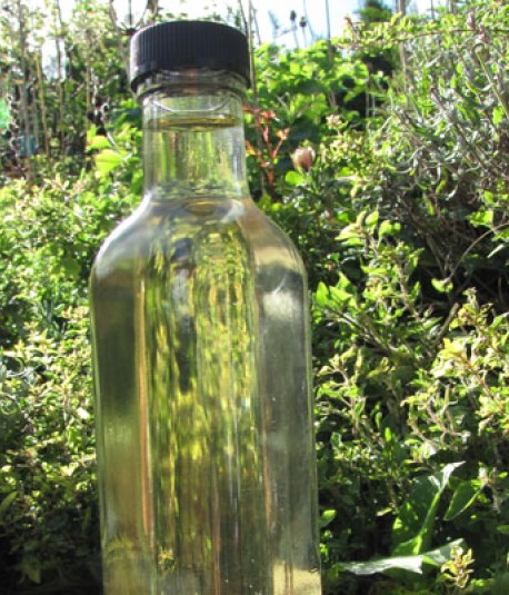 Oils & Dressings Bottles