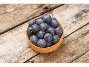 Scrumptious Christmas Sloe Gin